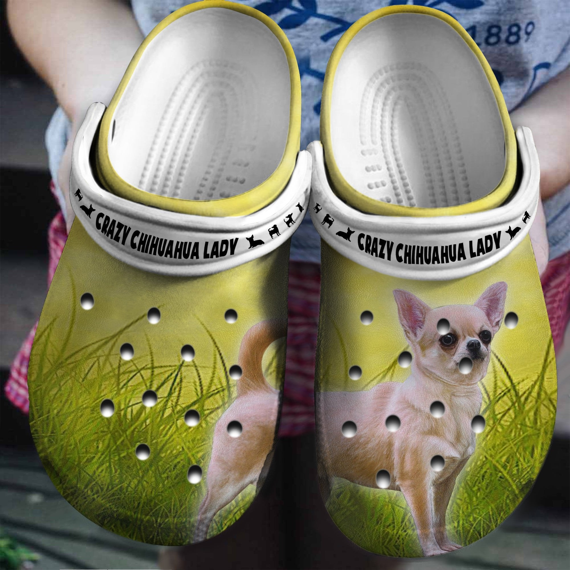 Crazy Chihuahua Lazy Crocs Shoes Clogs Gifts For Son Daughter