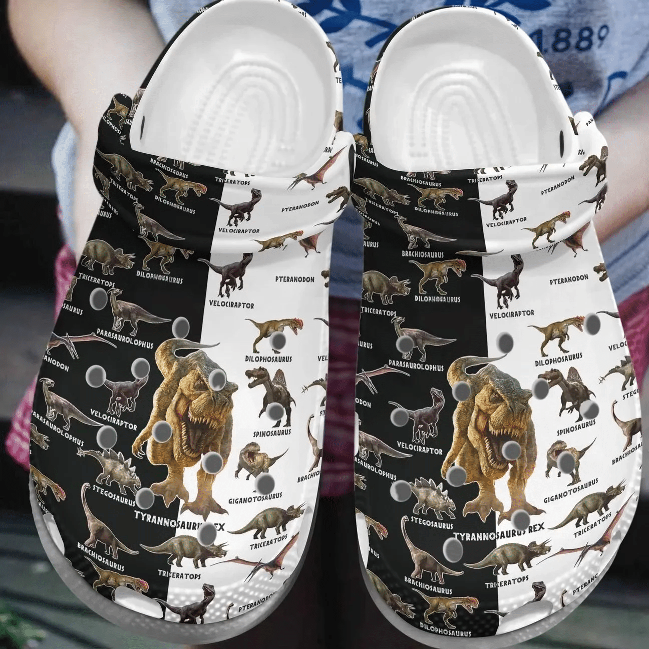 Dinosaur Personalized Clog Custom Crocs Comfortablefashion Style Comfortable For Women Men Kid Print 3D Types Of Dinosaurs