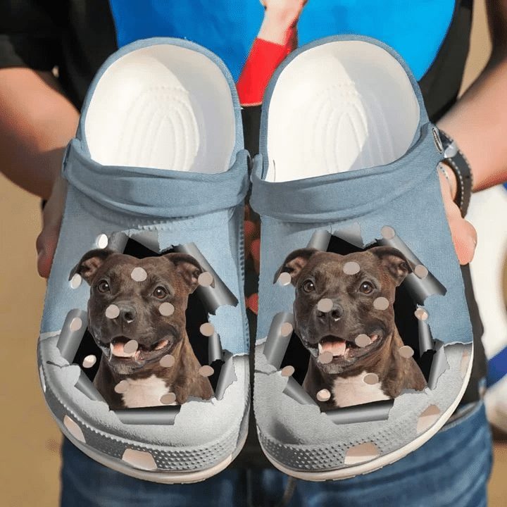 Pitbull Hello Crocs Clog Shoes