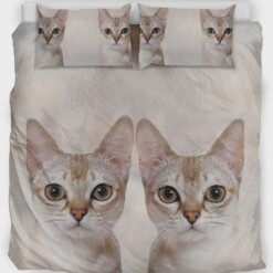 Cute Singapura Cat Print Bedding Set Bed Sheets Spread Comforter Duvet Cover Bedding Sets