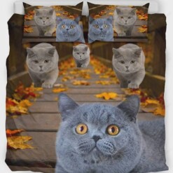 Amazing British Shorthair Cat Print Bedding Set Bed Sheets Spread Comforter Duvet Cover Bedding Sets