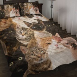 Cat Quilt Bedding Set