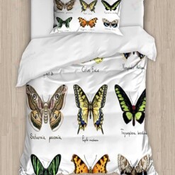 Types Of Butterflies Bed Sheets Duvet Cover Bedding Sets