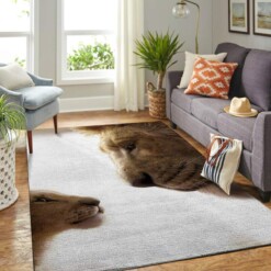 Lion King Live-action Living Room Area Rug