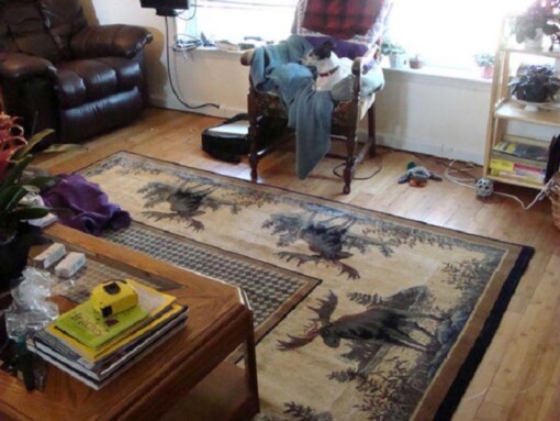 Awesome Moose Rectangle Limited Edition Rug