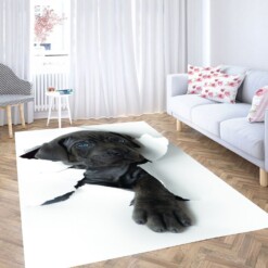 Break Wall With Dog Carpet Rug