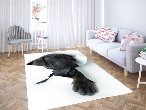 Break Wall With Dog Living Room Modern Carpet Rug