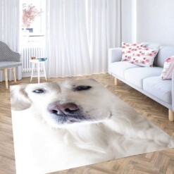 Calm Dog Carpet Rug