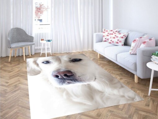 Calm Dog Living Room Modern Carpet Rug