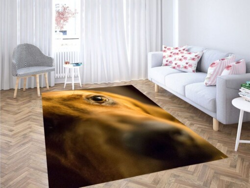 Eyes Of Brown Dog Living Room Modern Carpet Rug