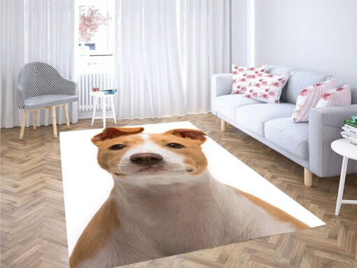 Happy Dog Living Room Modern Carpet Rug
