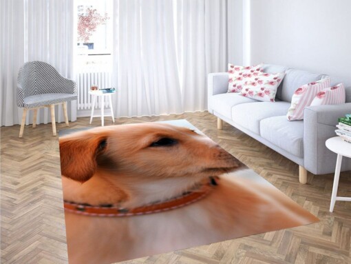 Pose Dog Living Room Modern Carpet Rug