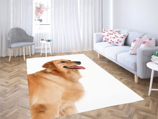 Very Soft Dog Living Room Modern Carpet Rug