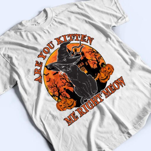 Black Cat- Are You Kitten Me Right Meow Lover Gift T Shirt