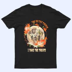 Brittany Spaniel Dog Owner Halloween Pumpkin Humor Funny T Shirt