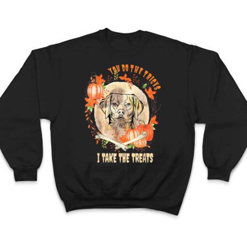 Brittany Spaniel Dog Owner Halloween Pumpkin Humor Funny T Shirt