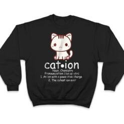 Cation Funny Cat Ion Science Pawsitive Pun Chemistry T Shirt - Dream Art Europa