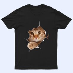 Cute Cat  With Grey Cat Torn Cloth, Kitten T Shirt