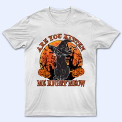 Halloween Costume Are You Kitten Me Right Meow Black Cat T Shirt