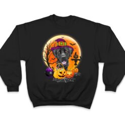 Halloween Great Dane Dog Moon With Pumpkin Funny Gifts T Shirt - Dream Art Europa