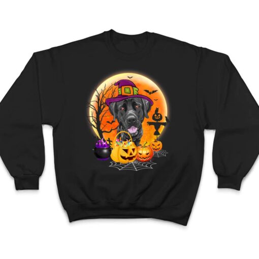 Halloween Great Dane Dog Moon With Pumpkin Funny Gifts T Shirt