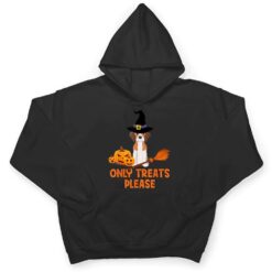 The Beagles With A Wizard Hat Pumpkin Funny Halloween Party T Shirt - Dream Art Europa