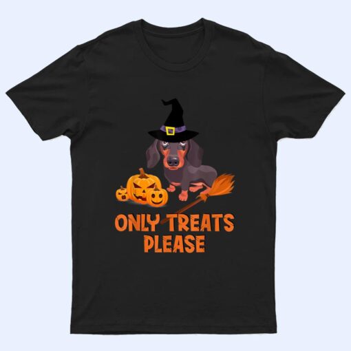 The Dachshunds With A Wizard Hat Pumpkin Halloween Party T Shirt