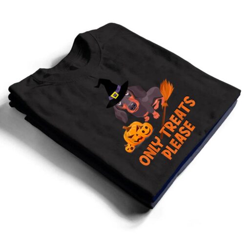 The Dachshunds With A Wizard Hat Pumpkin Halloween Party T Shirt