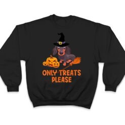 The Dachshunds With A Wizard Hat Pumpkin Halloween Party T Shirt - Dream Art Europa