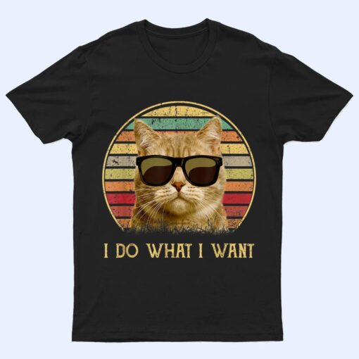 Vintage Cat gifts 2022 Funny cat lovers i do what i want cat T Shirt