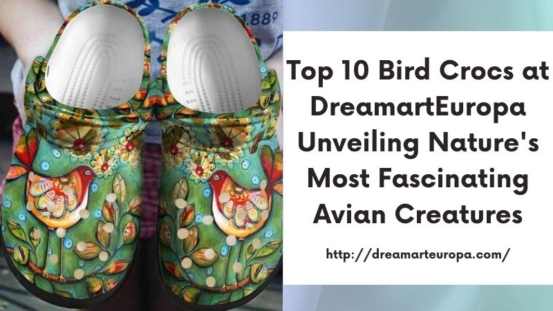 Top 10 Bird Crocs at DreamartEuropa Unveiling Nature's Most Fascinating Avian Creatures