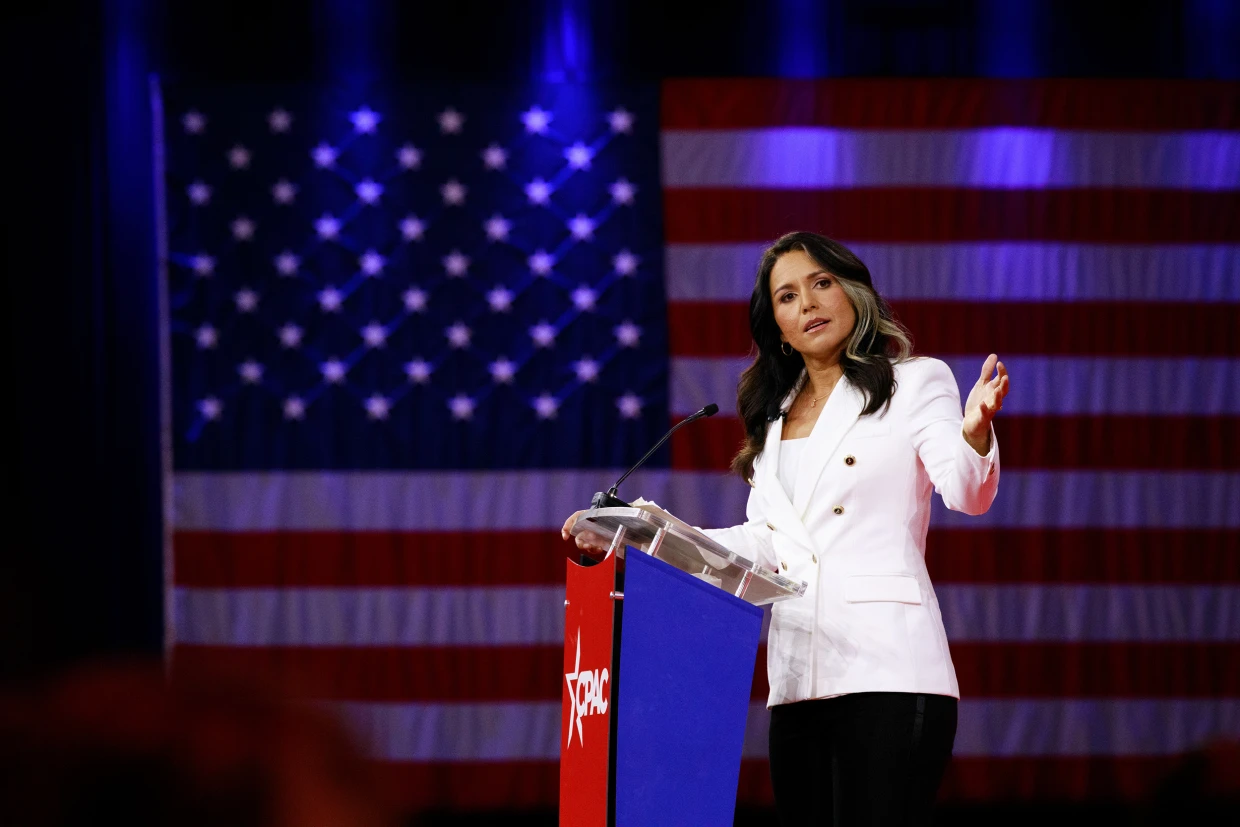 Analyzing Tulsi Gabbard's Campaign Strategy in the Election - Dream Art Europa