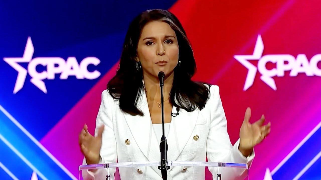 Analyzing Tulsi Gabbard's Campaign Strategy in the Election - Dream Art Europa