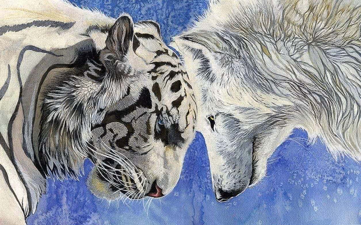 Astonishing Facts About White Wolf And Tiger Friend - Dream Art Europa